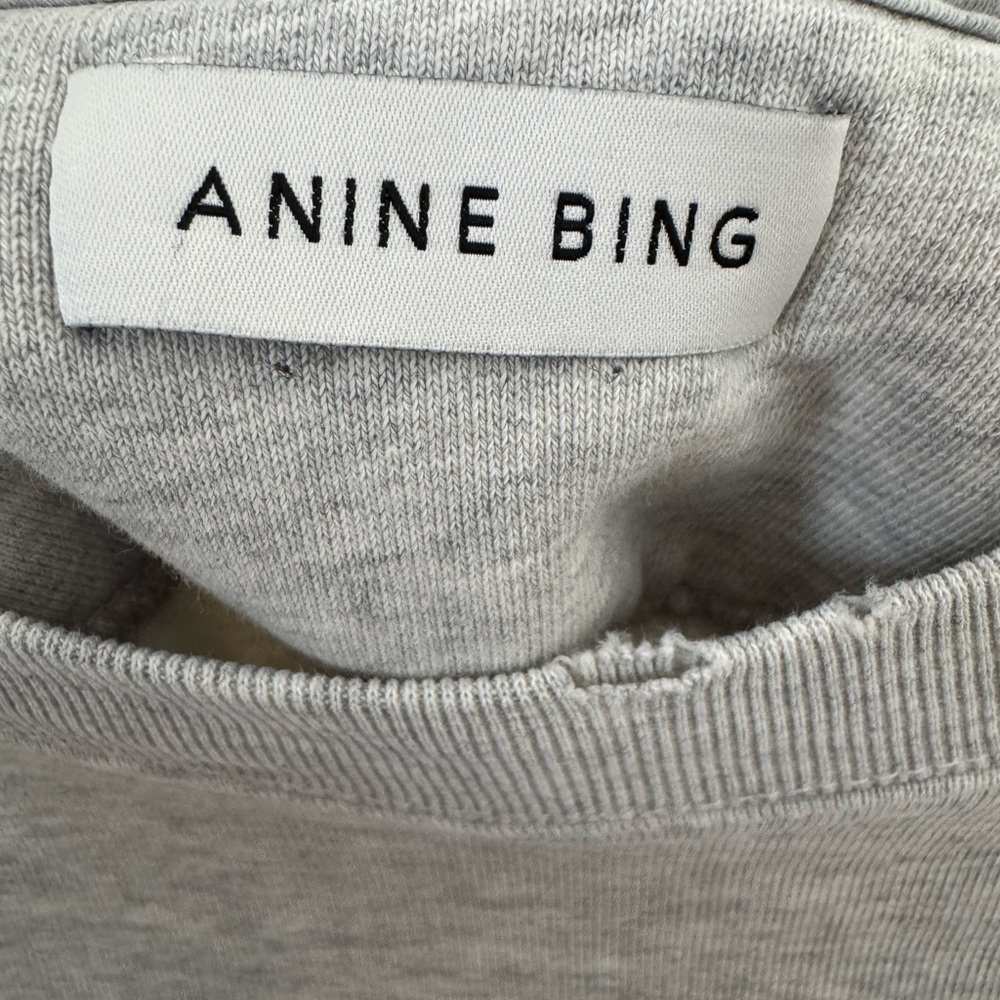 Anine Bing Tyler Sweatshirt - Picture 3 of 4